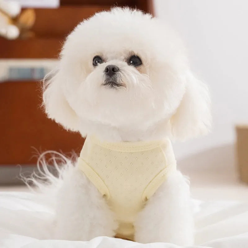 Breathable mesh pet shirt for small dogs and cats in blue or yellow with cat patch and button closure
