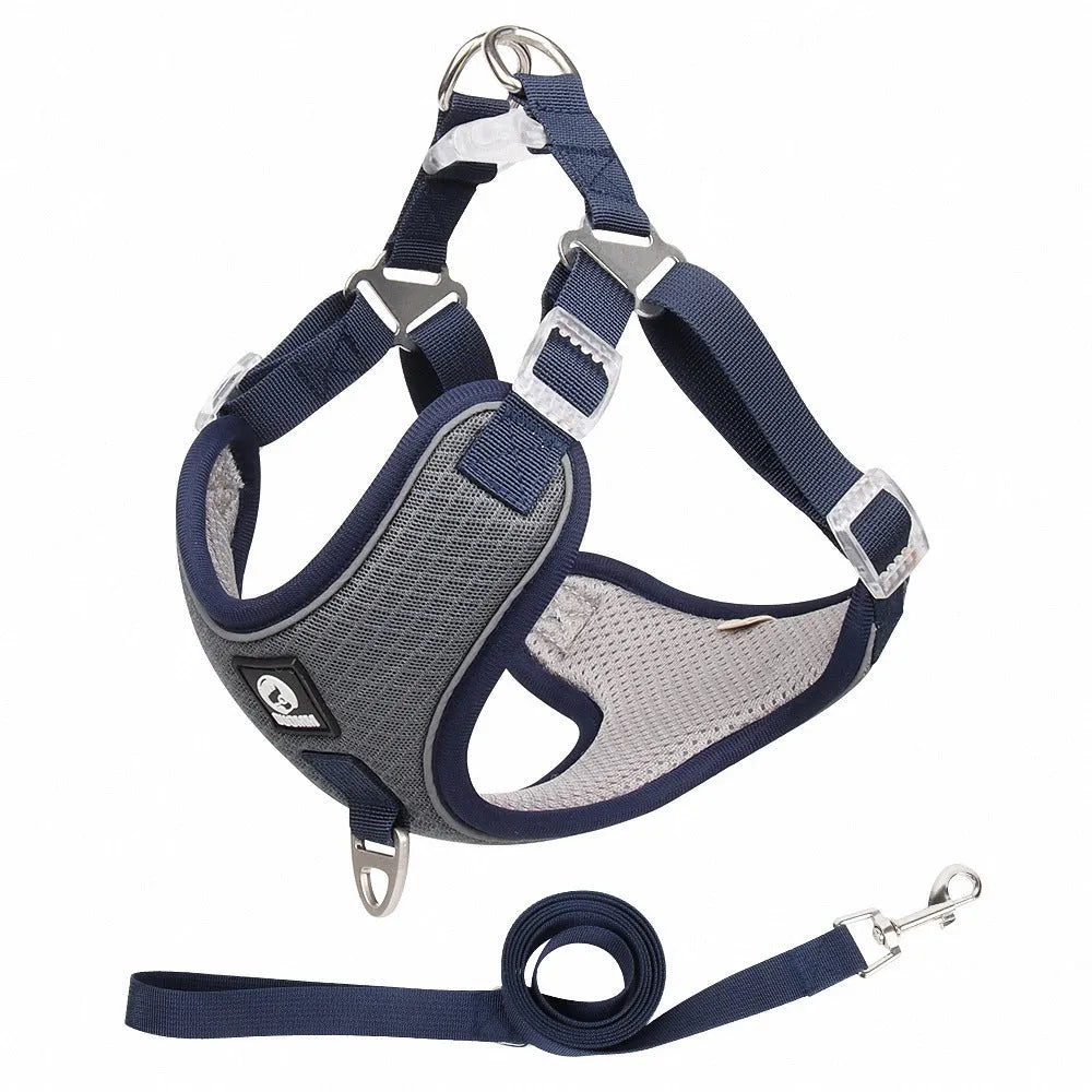 Adjustable dog harness with reflective piping and breathable mesh panels in multiple colour options