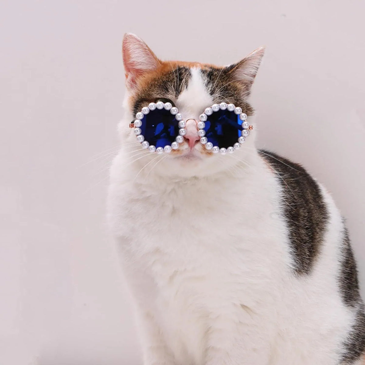 Pearl-rimmed round sunglasses for cats and dogs on a coloured background.