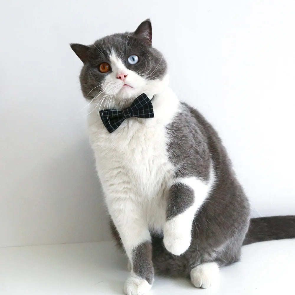 Pet costume hair band and bow tie set in woolen felt with elastic 18cm band