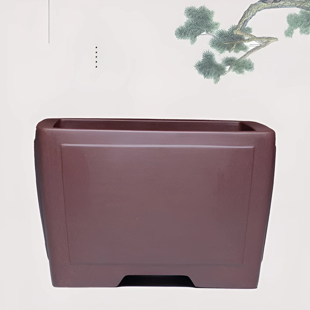 Square purple clay succulent bonsai pot in classical style on wooden table