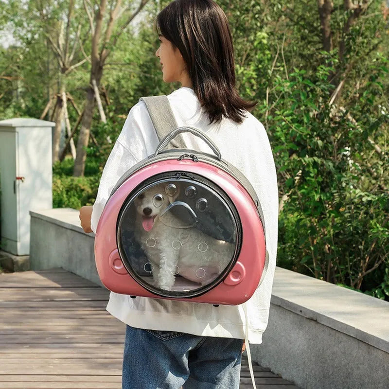 Transparent hard-shell pet carrier bag with metallic rose gold front cover.