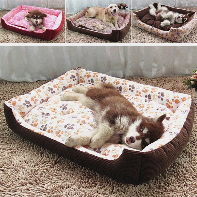 Beige plush dog bed with a raised bolster edge for a small dog.