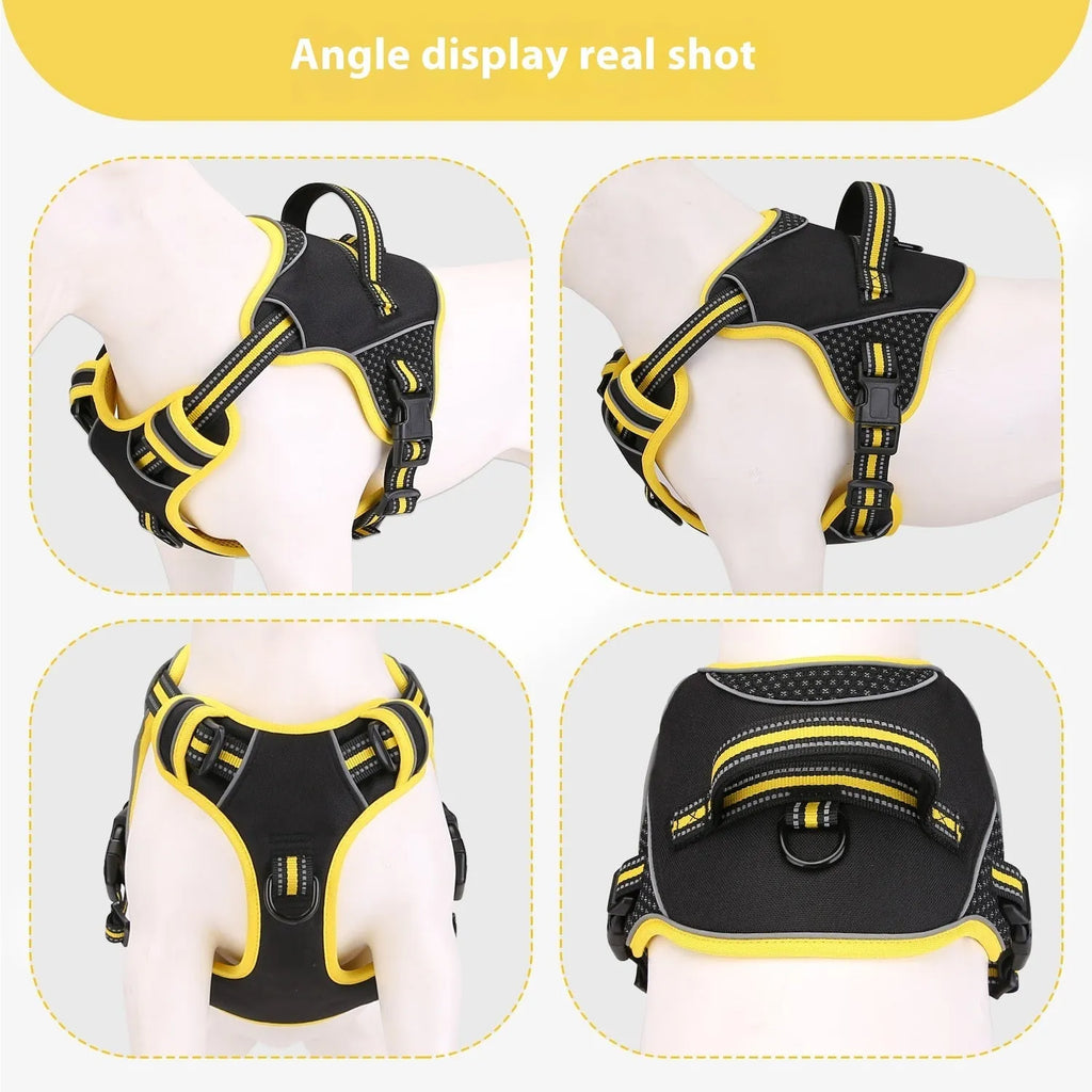 Orange or yellow polyester dog harness and traction strap set on a size label.
