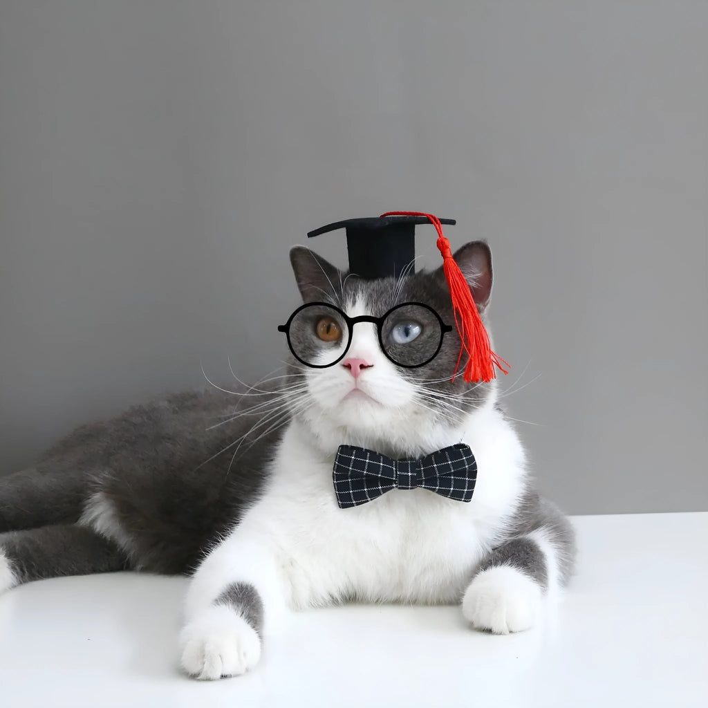 Pet costume hair band and bow tie set in woolen felt with elastic 18cm band