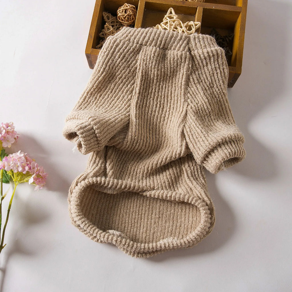 Brown cloth pullover sweater on a small dog like a Bichon or Pomeranian