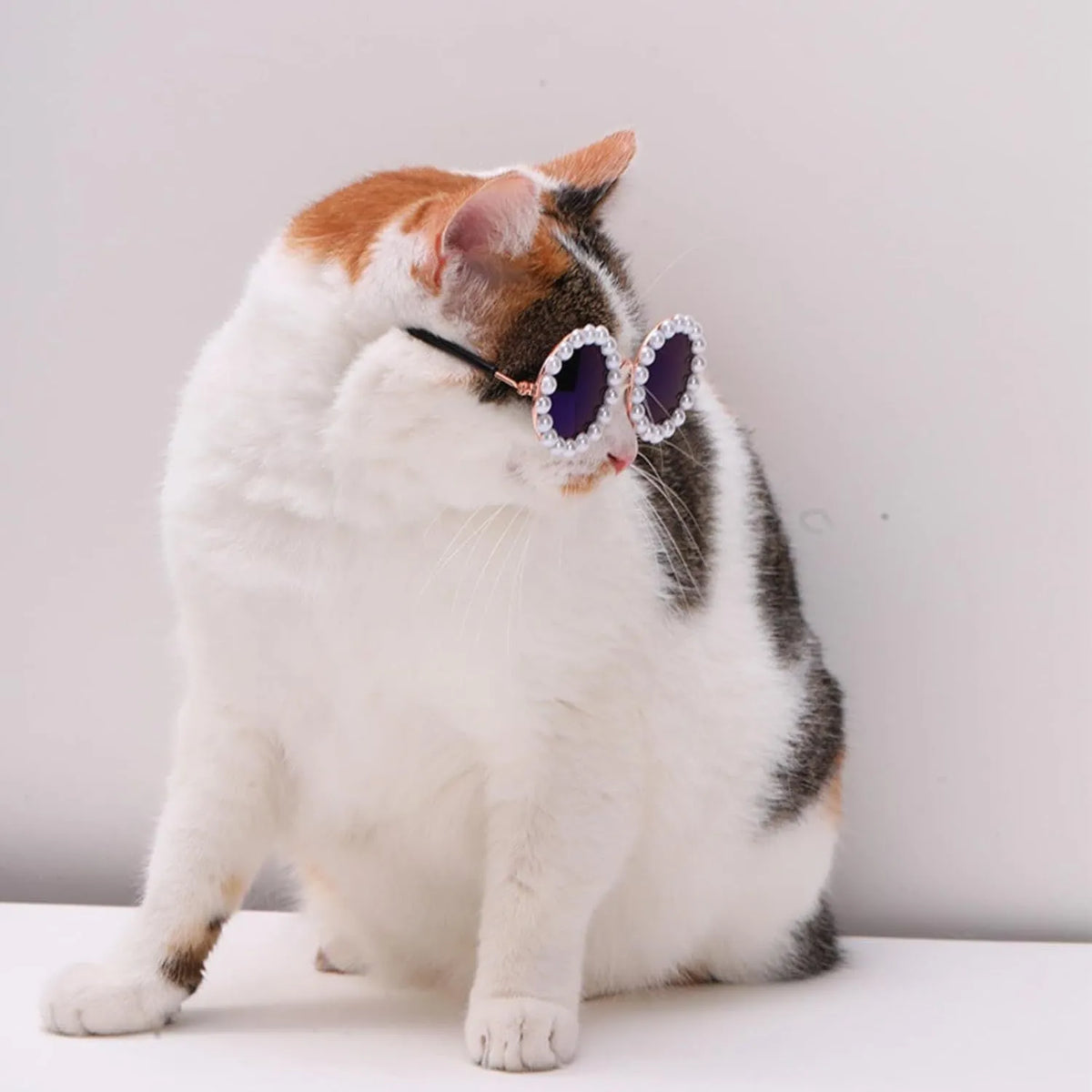 Pearl-rimmed round sunglasses for cats and dogs on a coloured background.