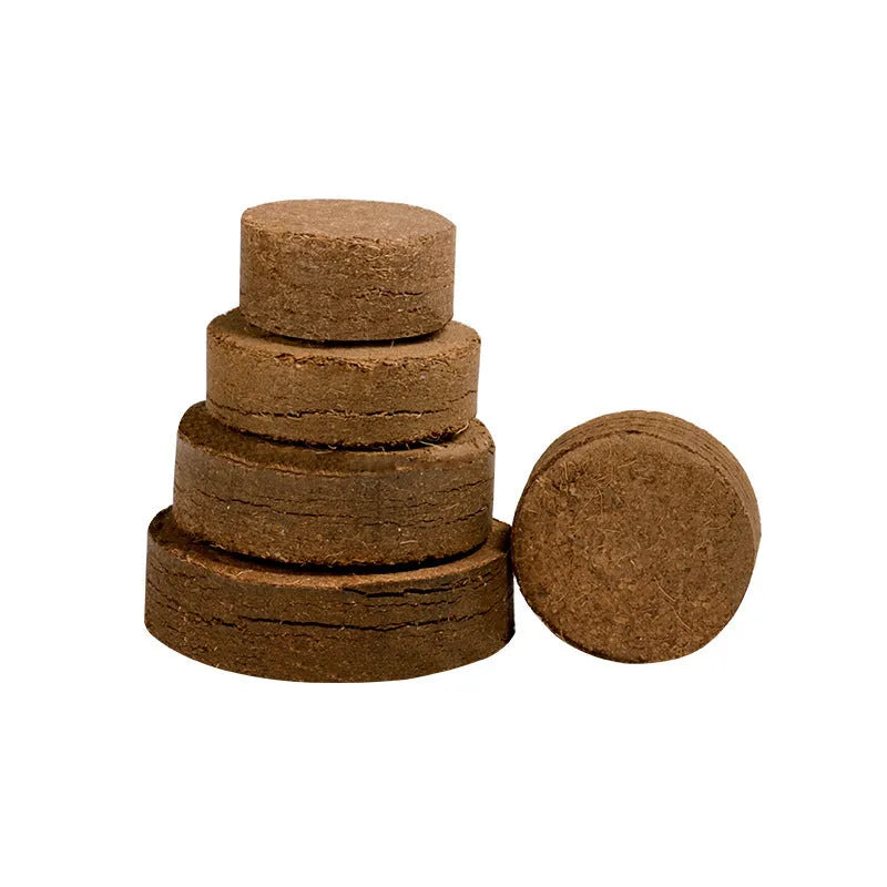 Selection of nutrient soil medium blocks in different sizes for vegetable seedling cultivation