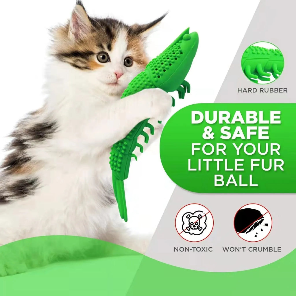 Blue hard rubber cat dental toy with catnip and bell inside for interactive play