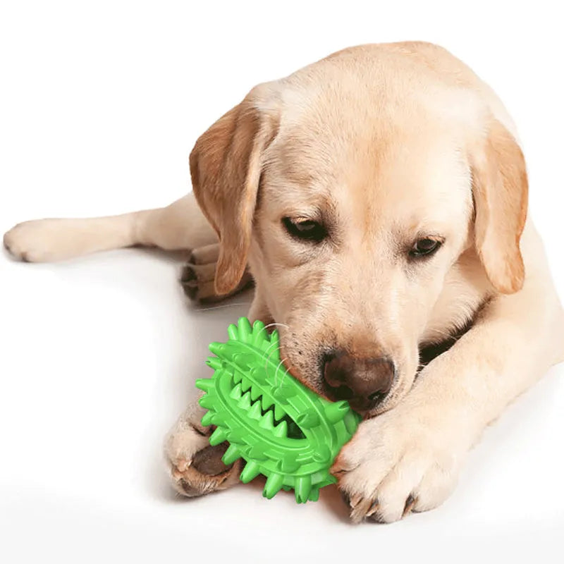 Green cactus-shaped dog toothbrush toy for aggressive chewers with textured dental cleaning surface