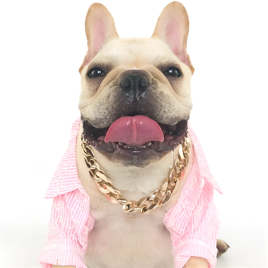 Geometric twisted chain dog collar ornament in metallic gold or white finish, shown with chain buckle.