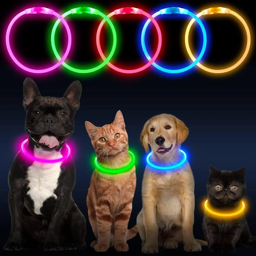 USB rechargeable LED dog collar showing blue illuminated band with adjustable 70cm length for night walking safety