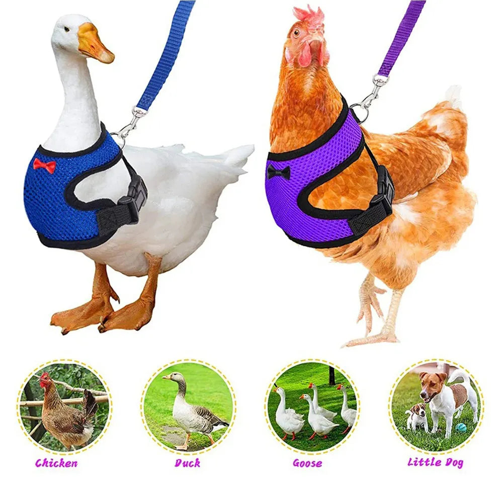 Poultry clothing set for chickens and ducks with vest, belt, collar, bow, and traction rope in multiple sizes