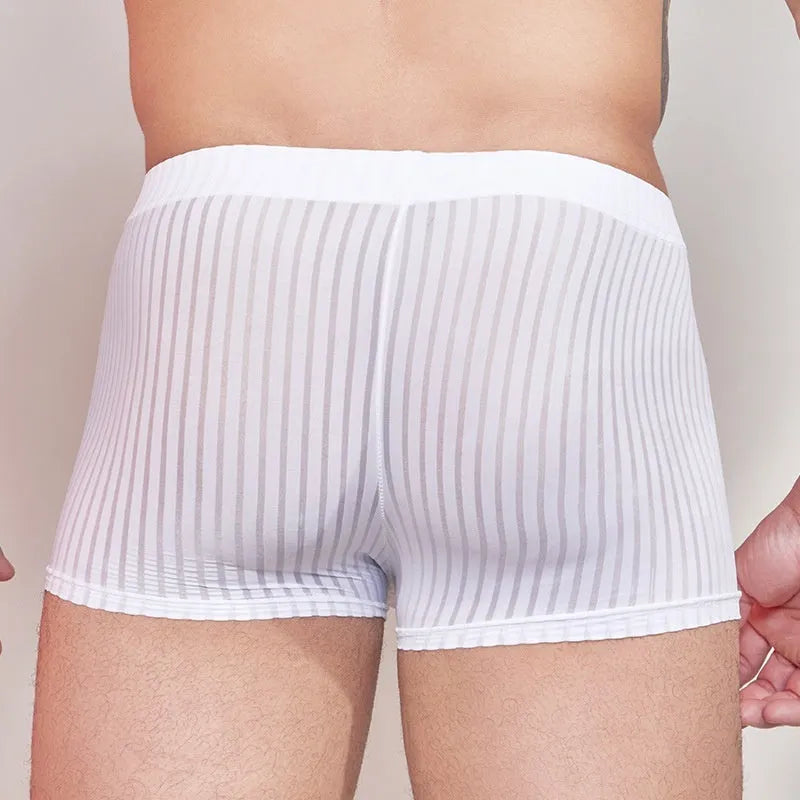 Men's striped underwear in thin transparent nylon fabric, shown in black, white and dark grey colours.