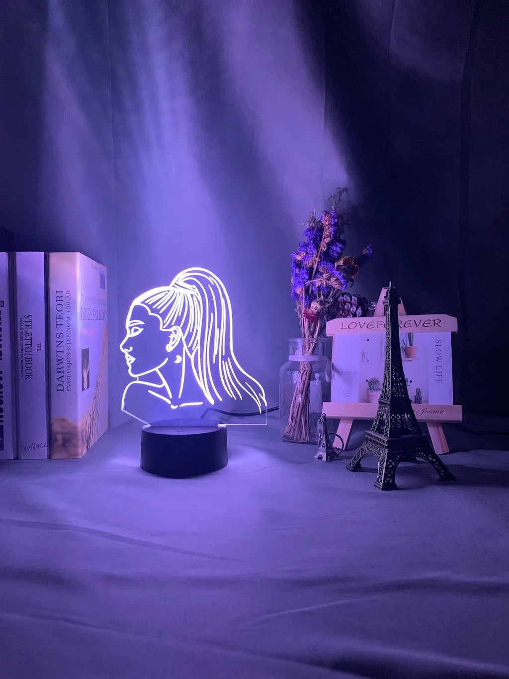Acrylic 3D night light with European styling and LED illumination