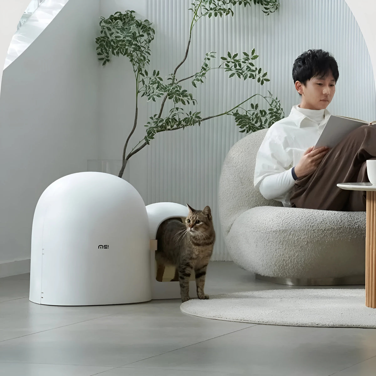 Large Moss Green coloured enclosed cat litter box with dome lid, made of ABS plastic.
