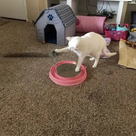 Blue interactive cat scratcher with circular ball track and replaceable scratch pad