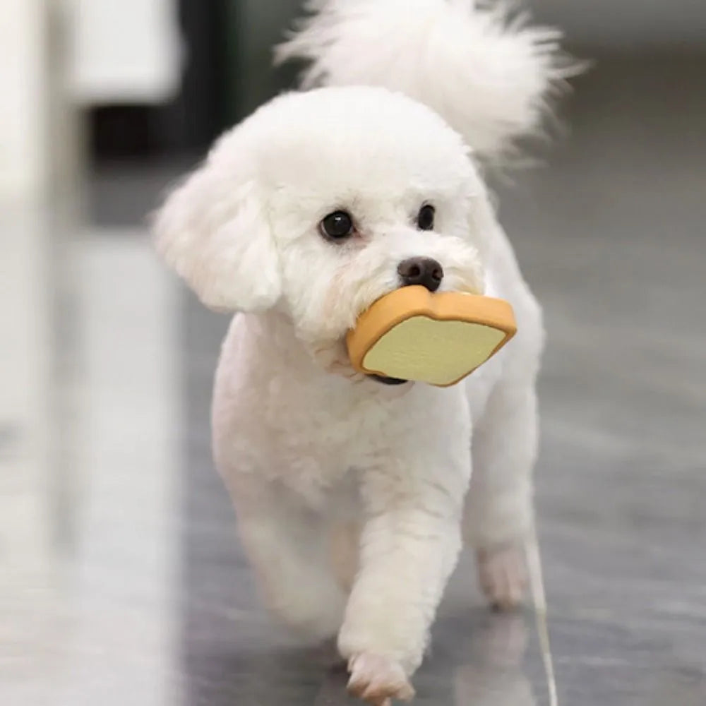 Yellow and green cartoon egg bread shaped latex squeaky toy for dogs on a white background.