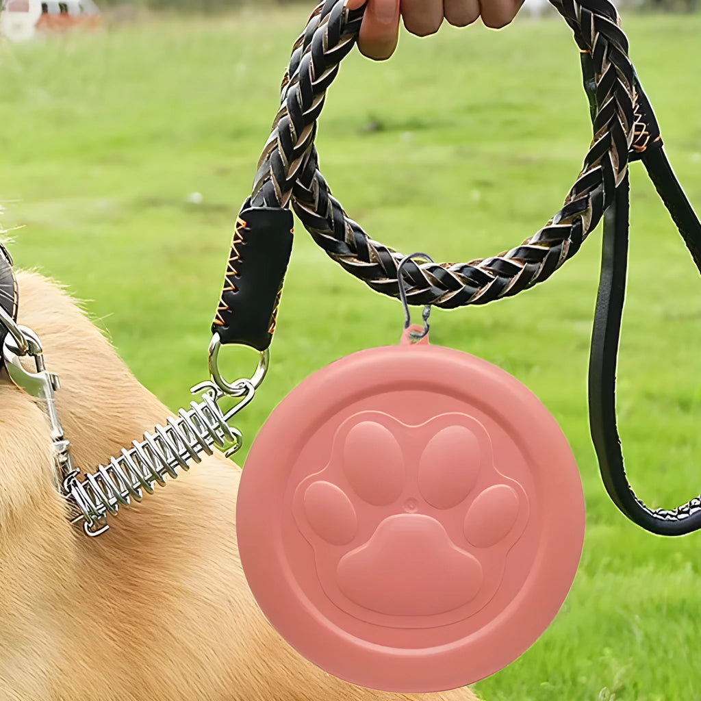 Collapsible portable dog bowl for food and water in pink and green colour options