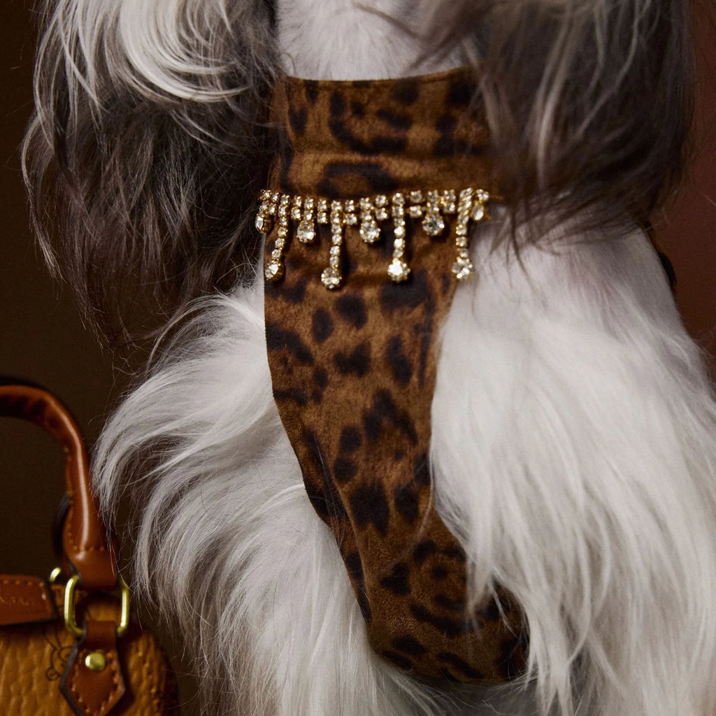 Leopard print polyester dog dress in skirt style, available in sizes XS to XXL for casual autumn pet wear