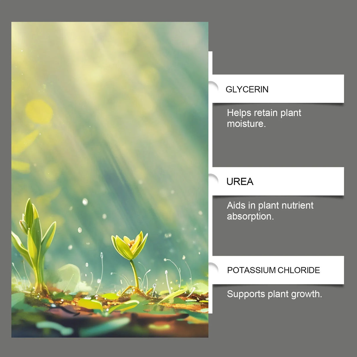 120ml plant nutrition spray bottle with glycerin urea and potassium chloride for indoor and outdoor plants