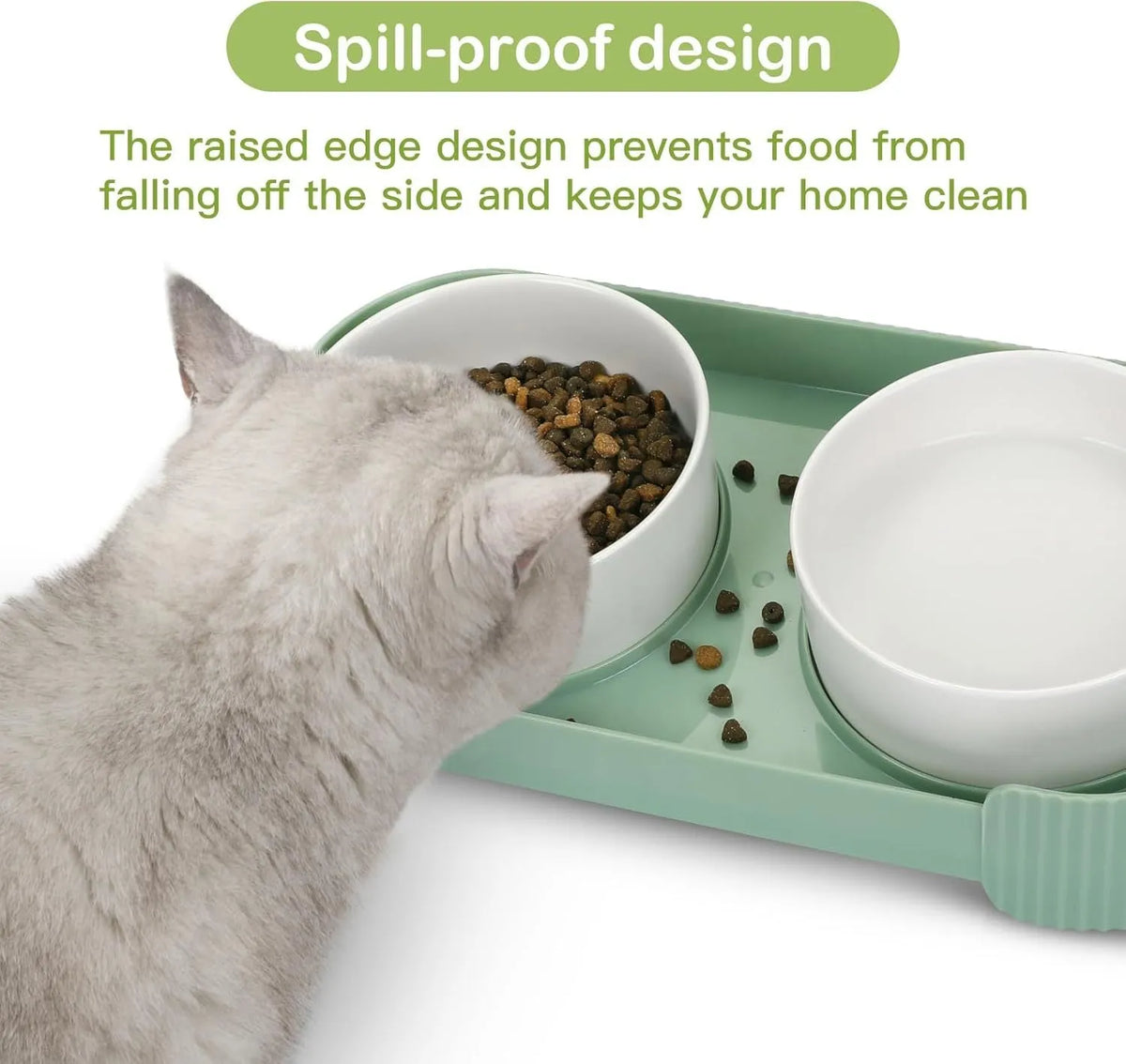 Ceramic elevated cat bowls with 15-degree tilt, non-slip base, and spill-proof rim in green colour