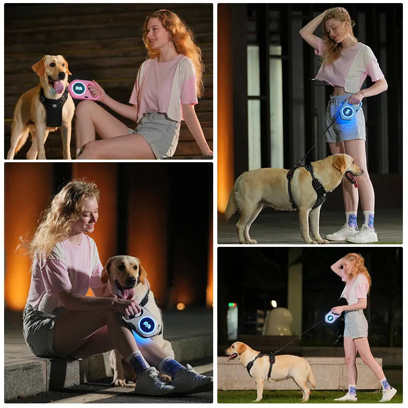 LED retractable dog lead 5 metre USB rechargeable outdoor leash in sky blue, cherry powder, high end purple or black and white