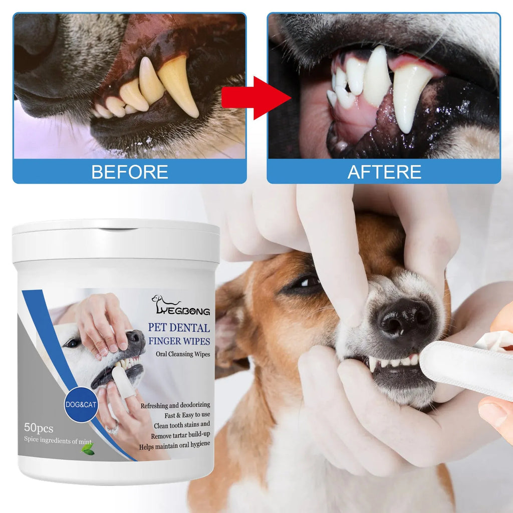 Canine dental finger wipes with applicator stall for dog teeth cleaning