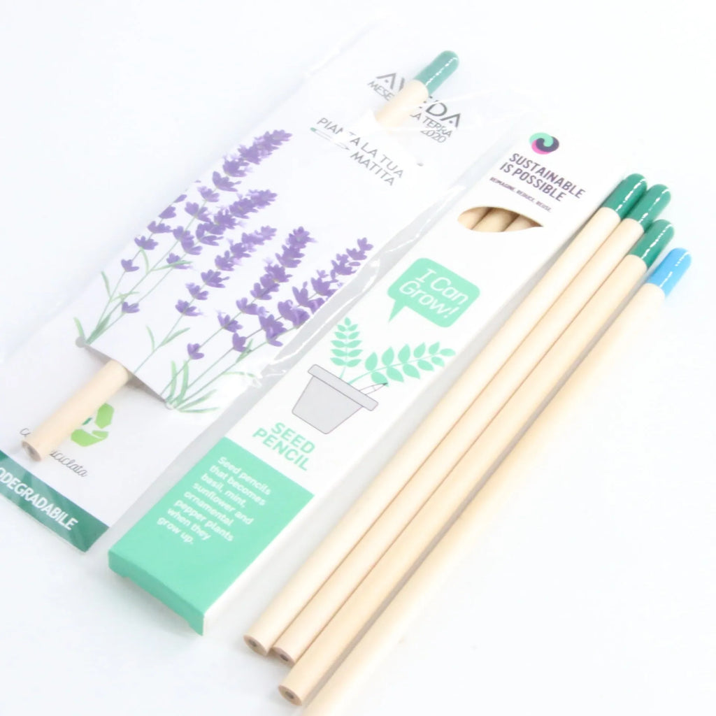 HB Seed Pencil with coloured degradable capsule containing plantable seeds on a soil background.