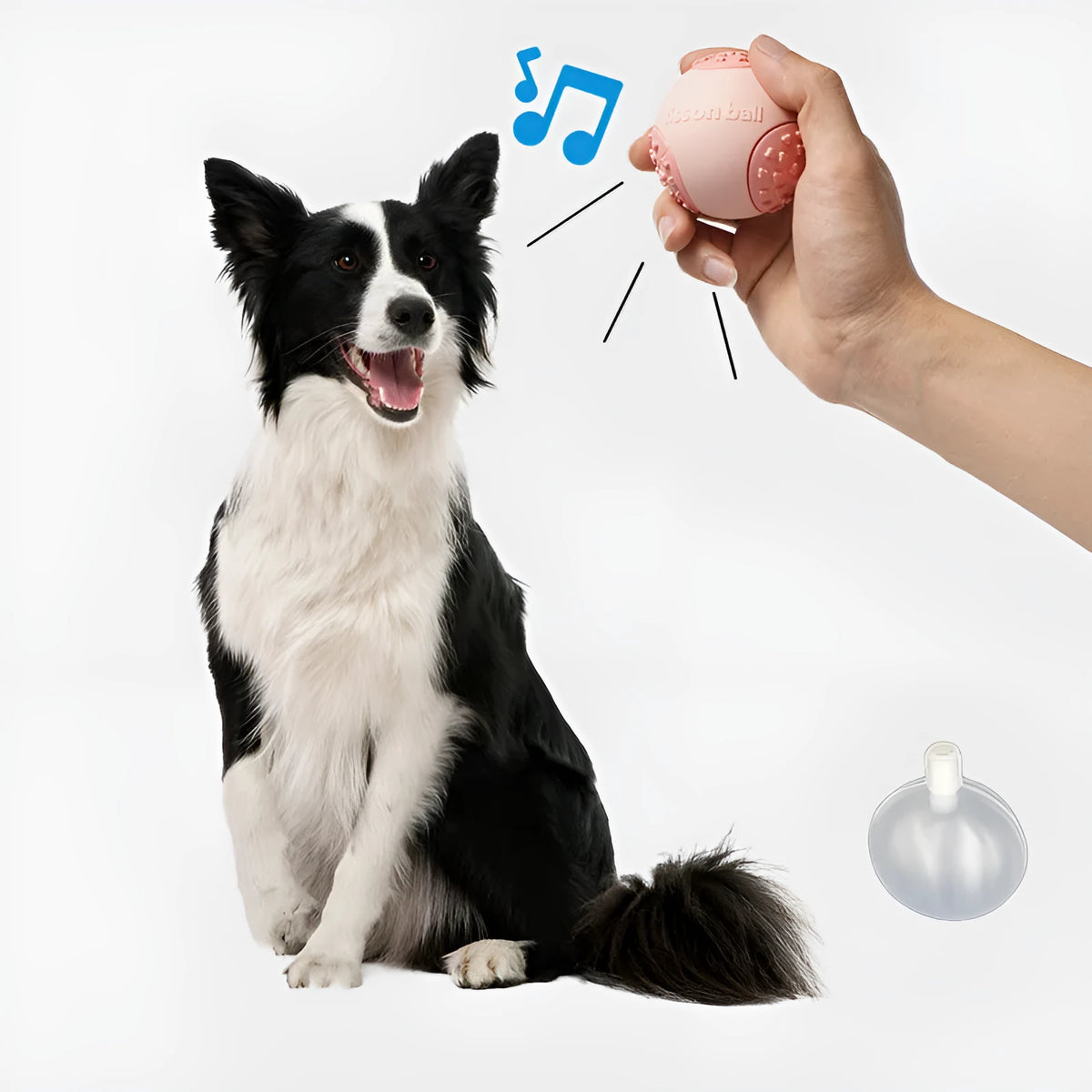 Green and pink dog rolling ball toy showing 64mm diameter size for small and medium breeds