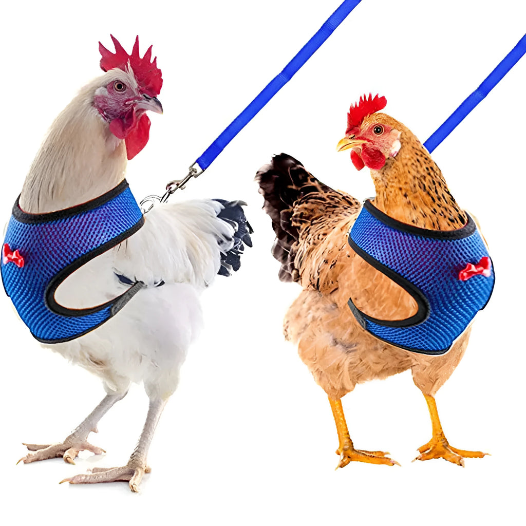 Poultry clothing set for chickens and ducks with vest, belt, collar, bow, and traction rope in multiple sizes