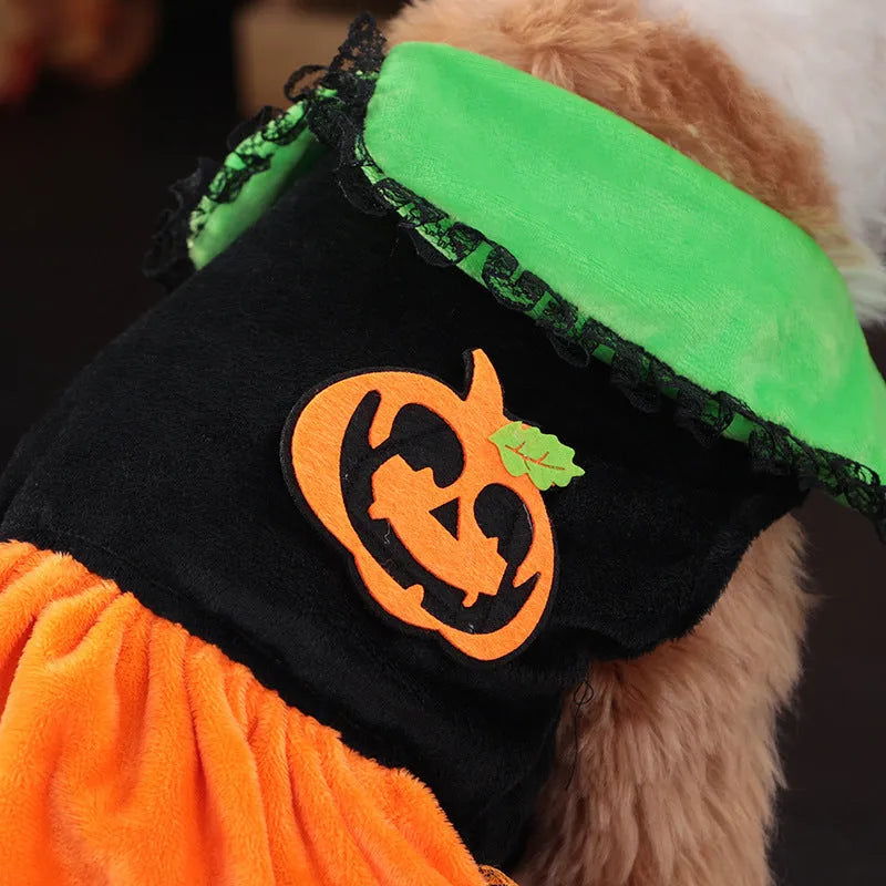 Halloween pet costume for dogs - pumpkin skirt and sweater options in crystal velvet fabric