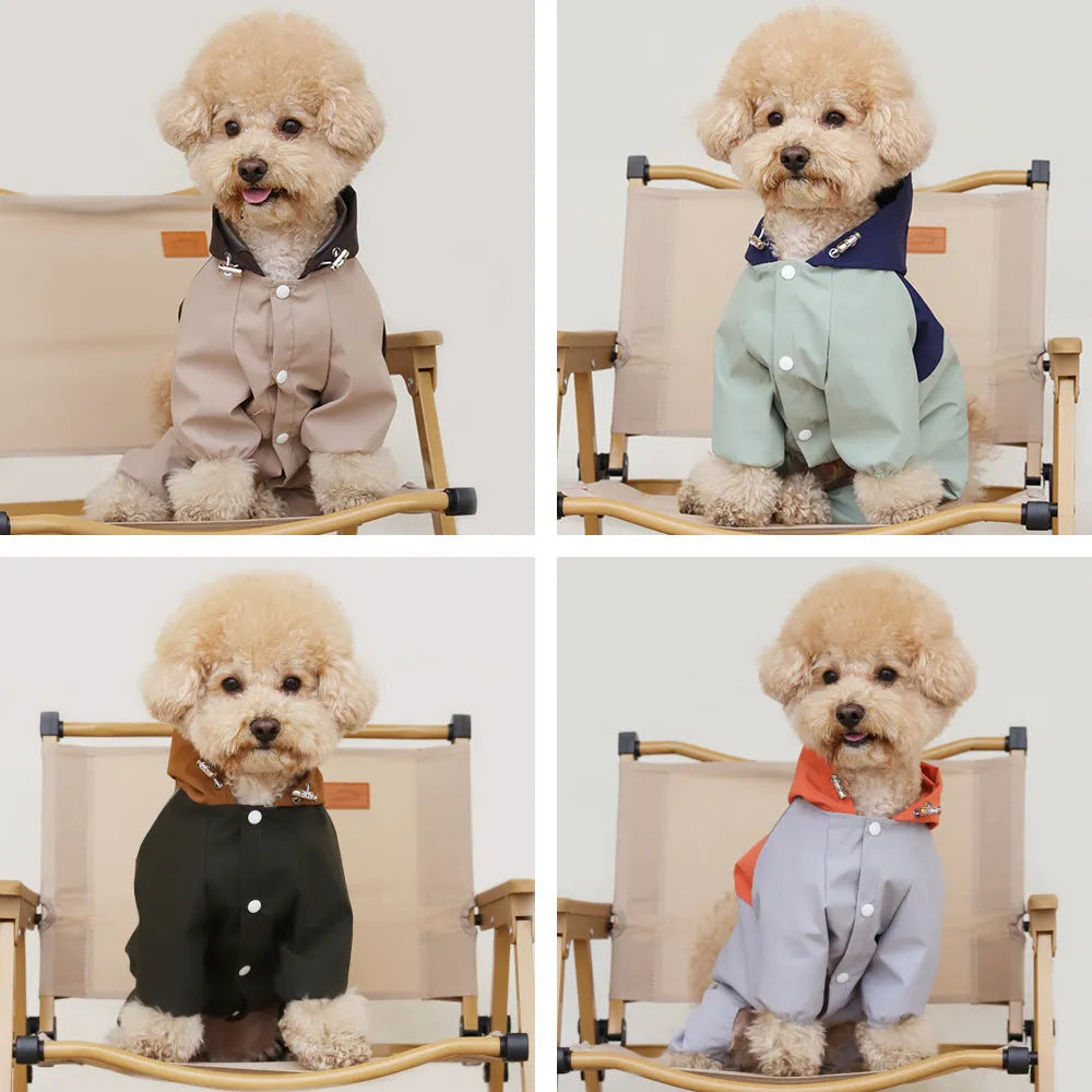British style khaki polyester waterproof dog jacket on a small breed dog.
