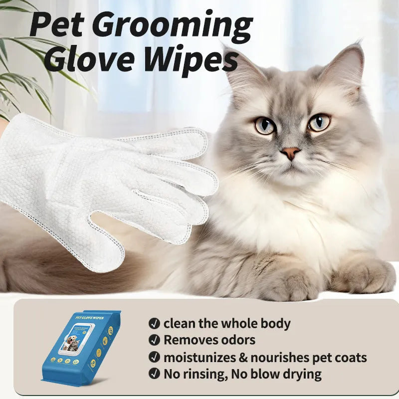 Plastic disposable gloves for pet bath cleaning and grooming tasks with cats and dogs