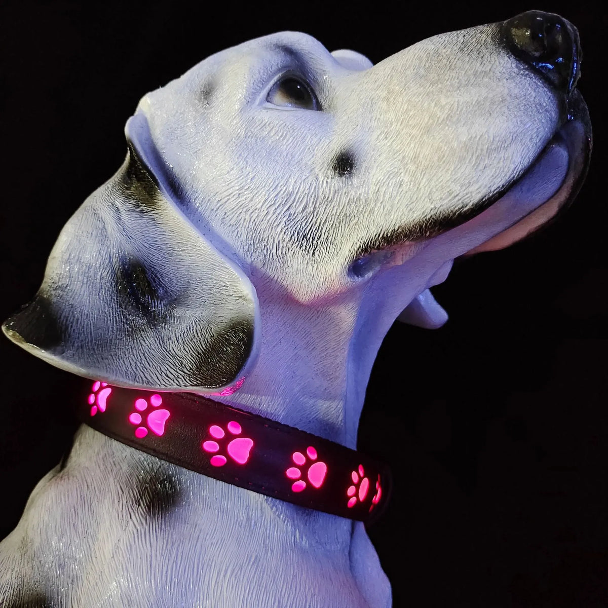 LED pet collar showing 7 colour changing lights with paw print design pattern on black polyester material