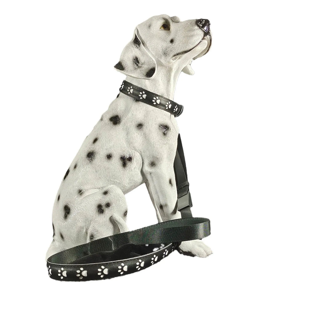 LED pet collar showing 7 colour changing lights with paw print design pattern on black polyester material