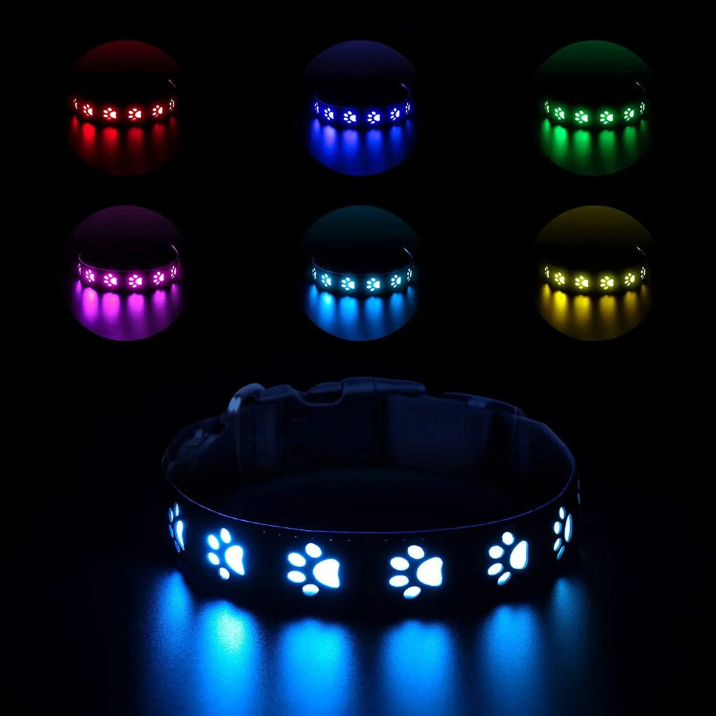 LED pet collar showing 7 colour changing lights with paw print design pattern on black polyester material