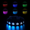 LED pet collar showing 7 colour changing lights with paw print design pattern on black polyester material