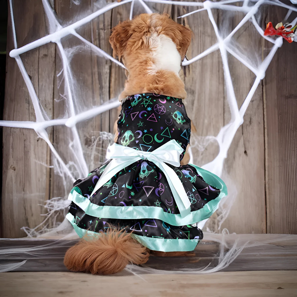 Halloween dog skirt with colourful pumpkin pattern and elastic waistband