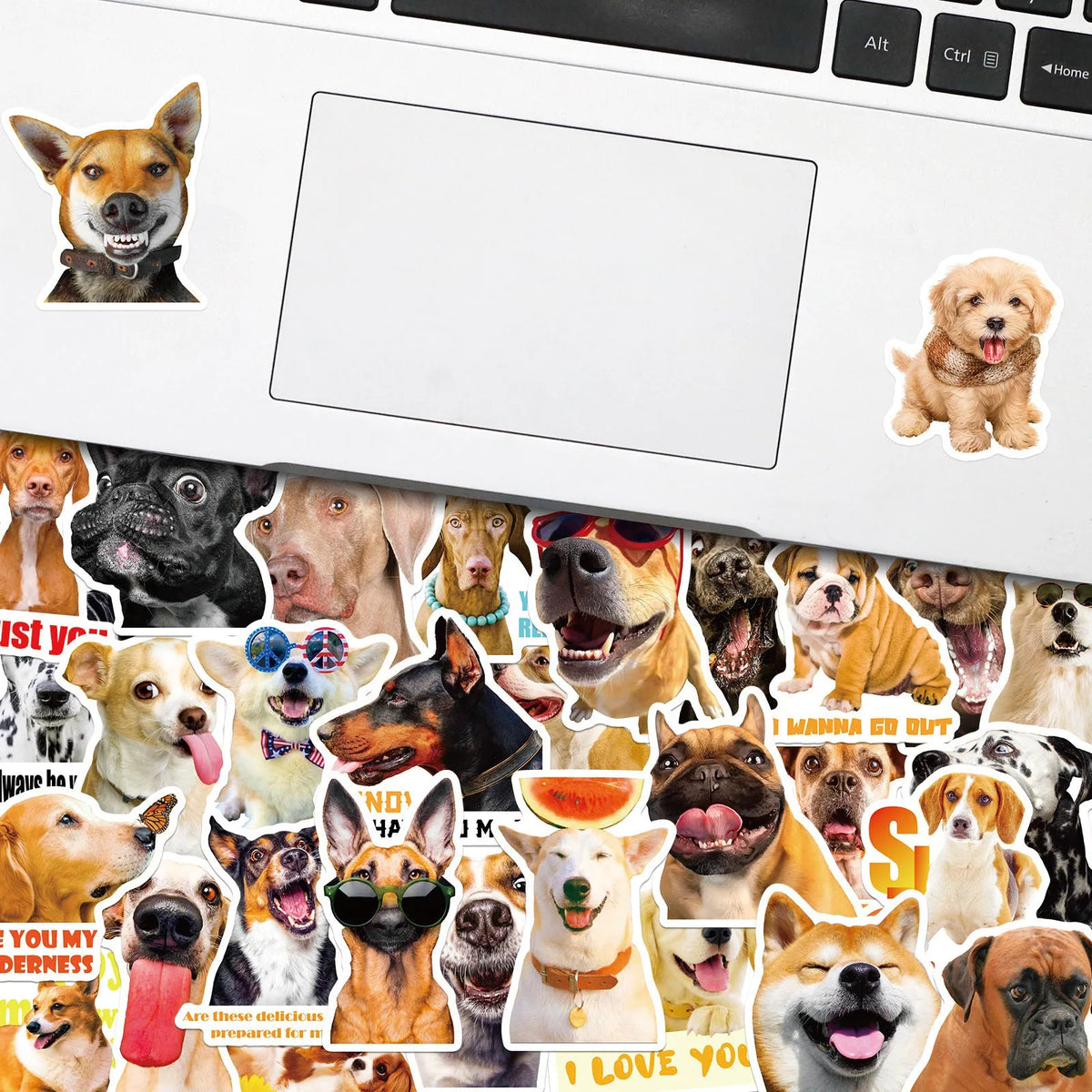 100 sheets of realistic dog facial expression stickers with Nordic style designs and waterproof adhesive backing