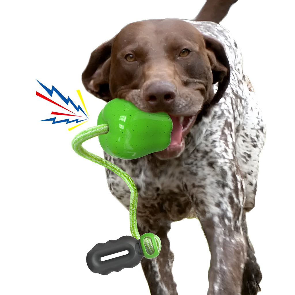 Green apple-shaped dog chew toy with treat dispensing opening and plastic construction