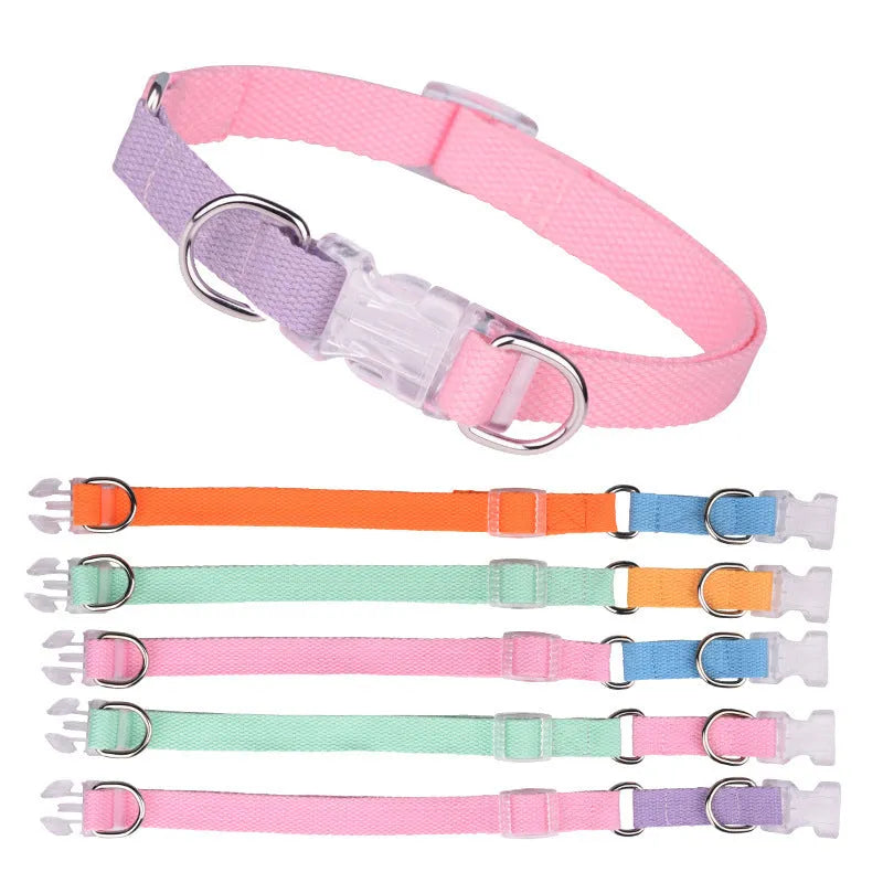 Polyester dog collar set with matching leash and chest strap in adjustable sizes