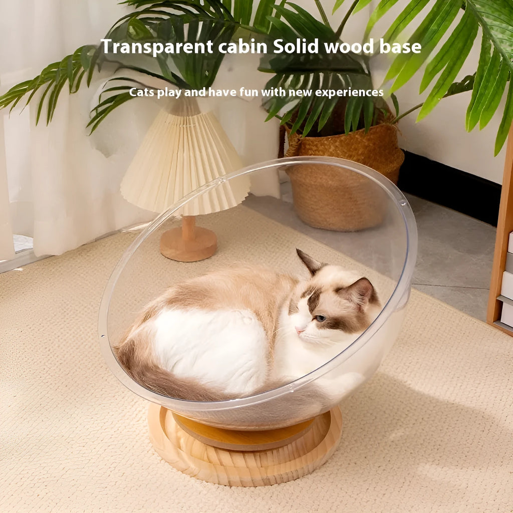 Transparent acrylic cat space capsule bathtub bed in multiple size options for indoor pet furniture