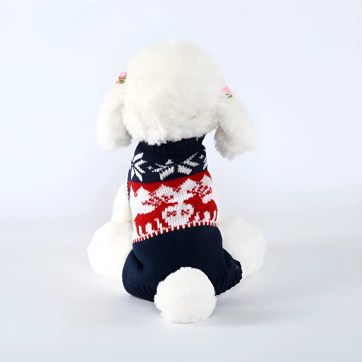 Navy blue knitted Christmas sweater for dogs on small to medium breed
