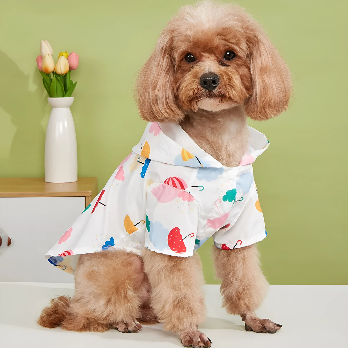 Colourful cartoon umbrella pattern pet raincoat for dogs or cats in size medium.