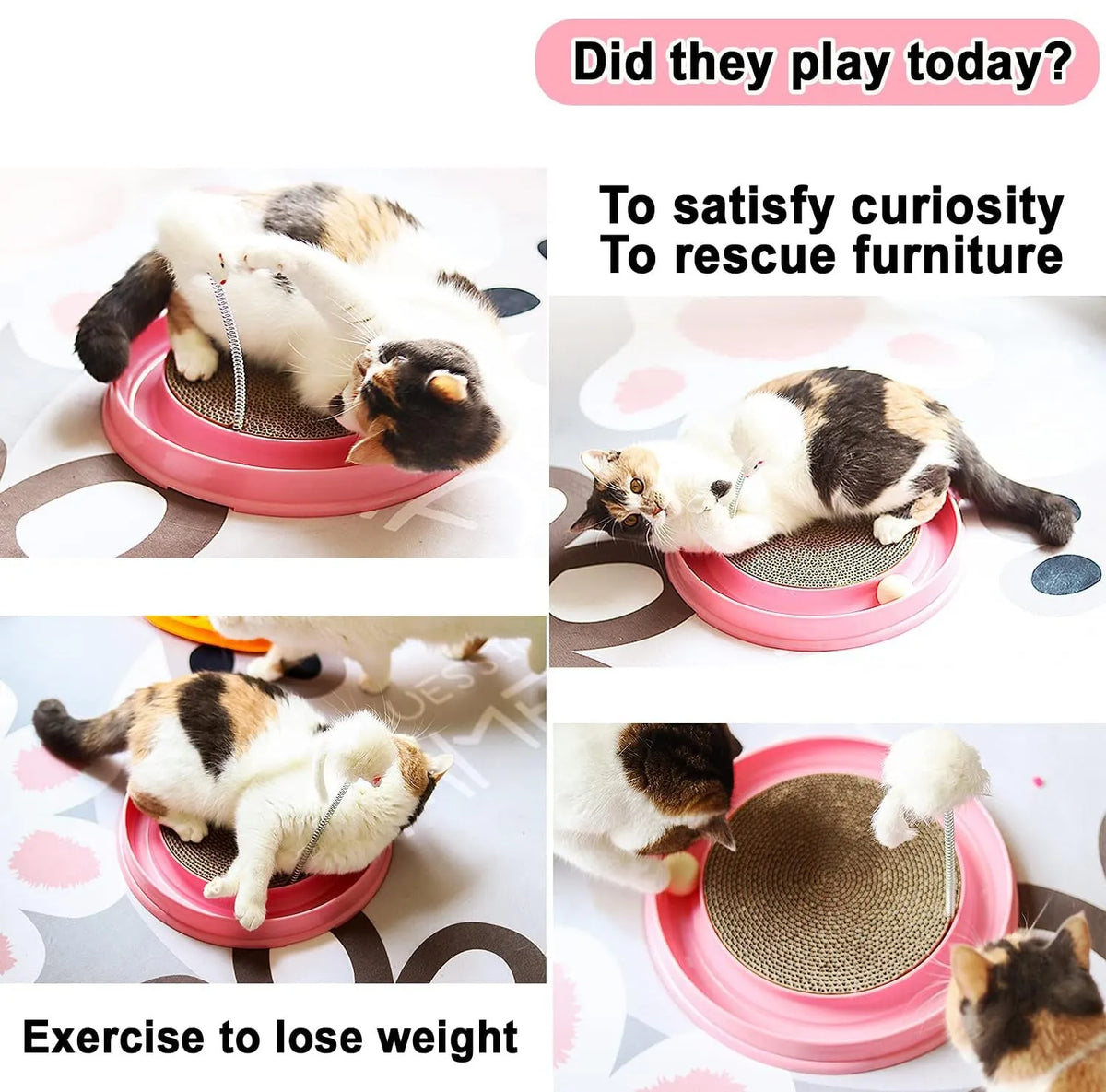 Blue interactive cat scratcher with circular ball track and replaceable scratch pad