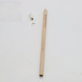 HB Seed Pencil with coloured degradable capsule containing plantable seeds on a soil background.