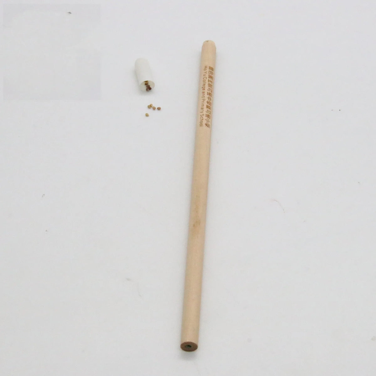 HB Seed Pencil with coloured degradable capsule containing plantable seeds on a soil background.