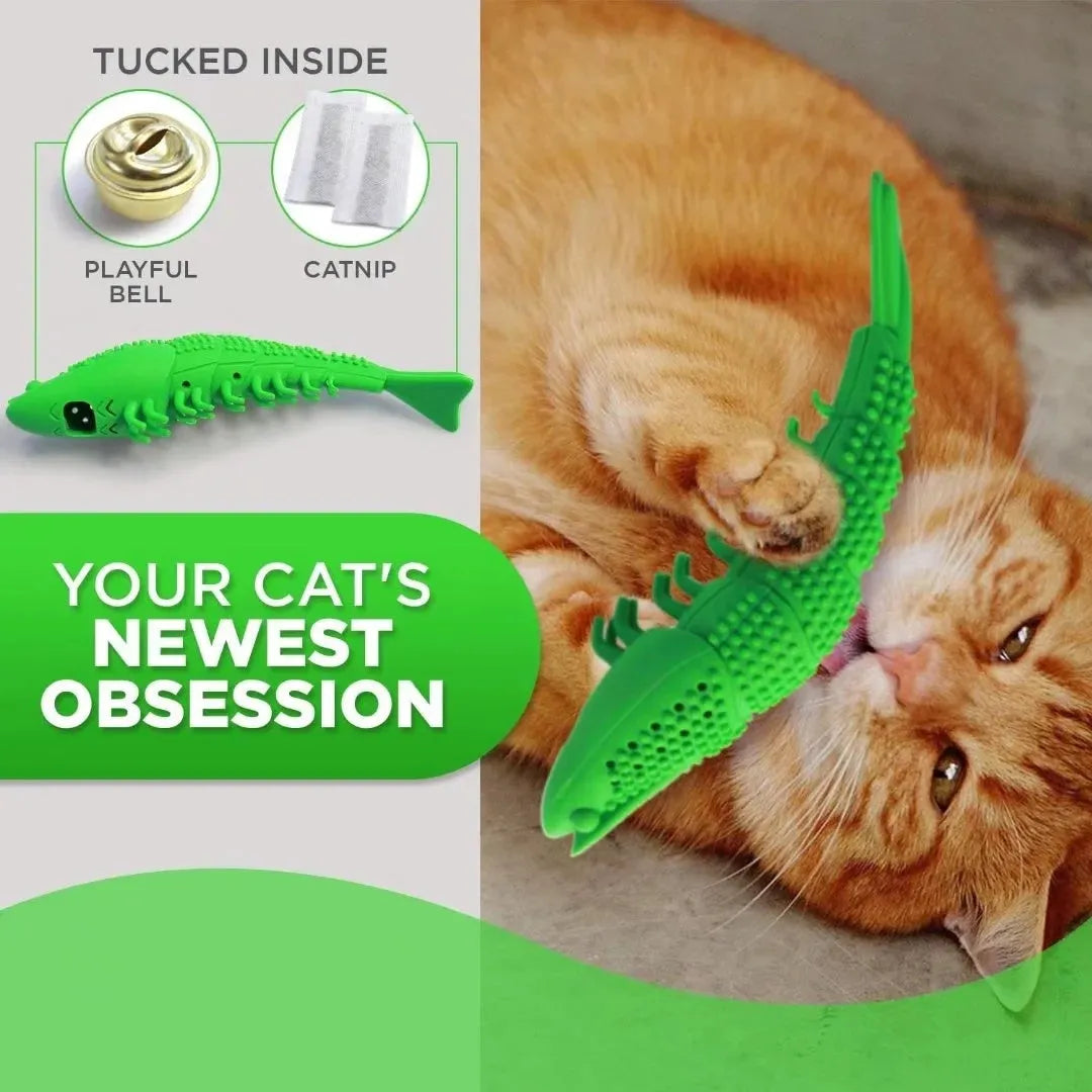 Blue hard rubber cat dental toy with catnip and bell inside for interactive play