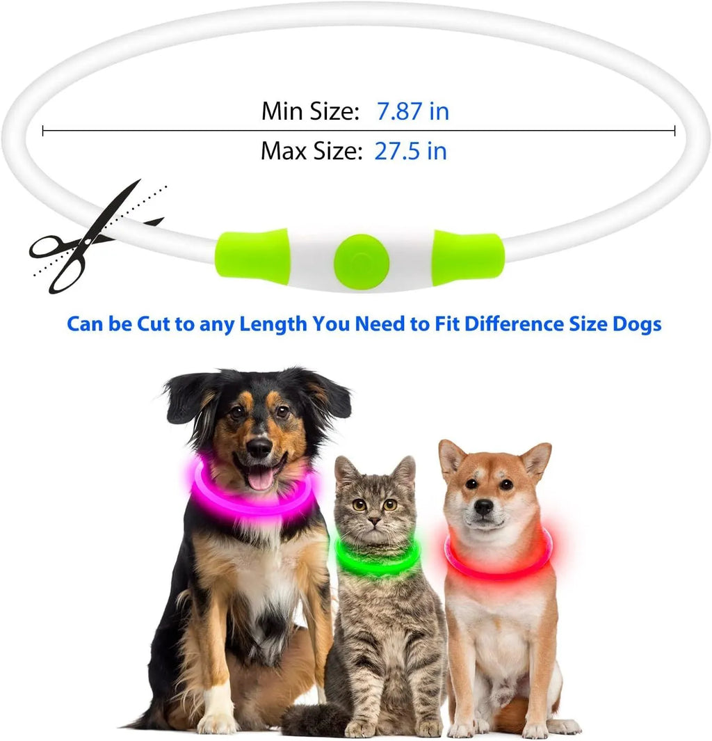 USB rechargeable LED dog collar showing blue illuminated band with adjustable 70cm length for night walking safety